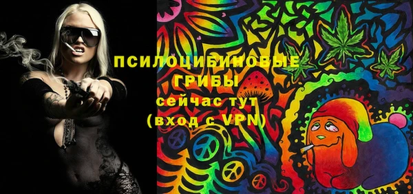 ПСИЛОЦИБИНОВЫЕ ГРИБЫ Нея