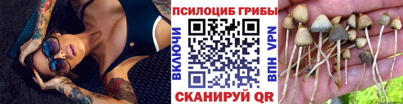 Галлюциногенные грибы Psilocybe  Купить где  Советская Гавань 